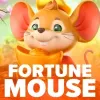 Fortune Mousse